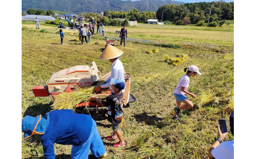 自然栽培米 ヒノヒカリ 玄米 25kg　京都府・亀岡産 令和5年産 栽培期間中農薬不使用  ※離島への配送不可