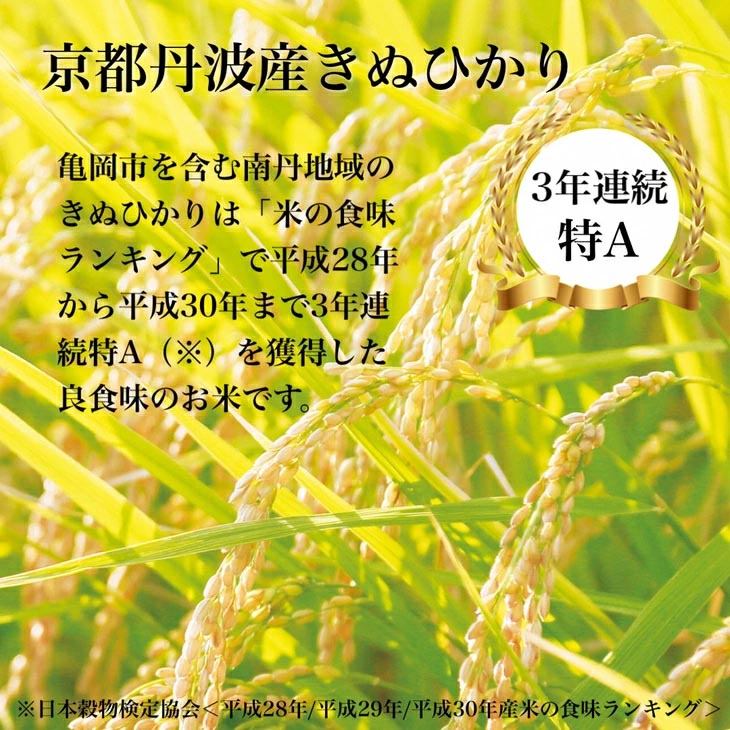 【7日以内発送】京都丹波産 きぬひかり 5kg ※米食味鑑定士厳選 ※精米したてをお届け【京都伏見のお米問屋が精米】新米 米 令和6年産 ※北海道・沖縄・離島への配送不可