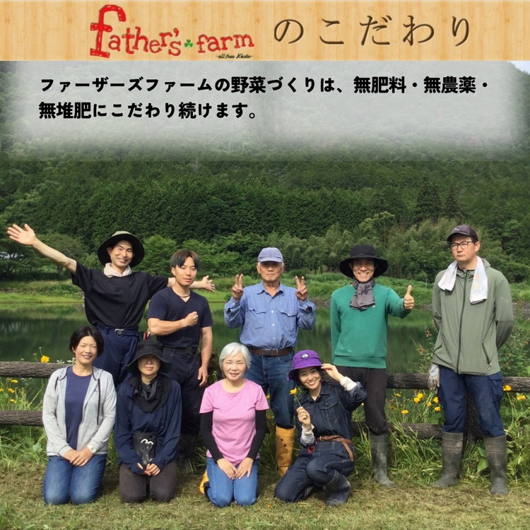 旬のこだわり 京野菜 セット 6〜10種類＜ファーザーズファーム＞栽培期間中農薬不使用｜野菜 野菜詰め合わせ 野菜セット 京野菜 旬の野菜 新鮮野菜 ※北海道・沖縄・離島への配送不可