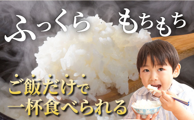 【定期6回】令和7年産コシヒカリ 10kg×6回 京都丹波産 農家直送 産地直送 スピード配送【～3月31日まで】※北海道･沖縄･離島への配送不可