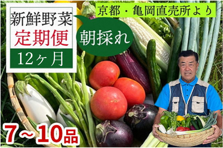 野菜 定期便 直送 12回 朝採れ 7～10品目 京都丹波 亀岡 佐伯の里 訳あり生活応援 家計応援 ※北海道・沖縄・離島への配送不可