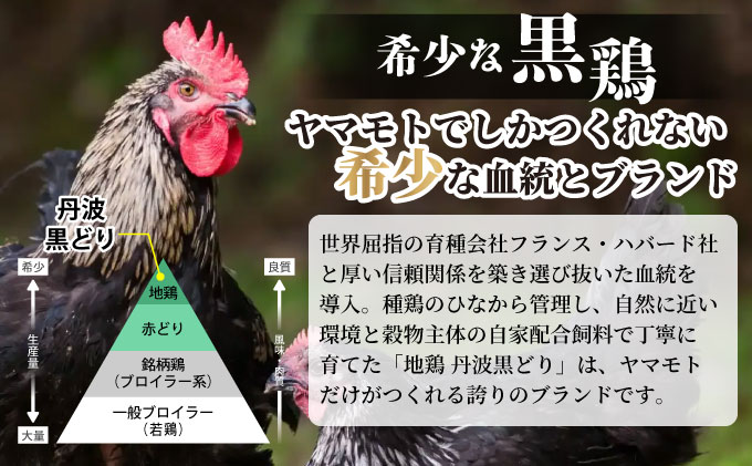 訳あり 地鶏 丹波黒どり ムネ肉 6kg 業務用◇＜京都亀岡丹波山本＞《ふるさと納税 鶏肉 ムネ むね 不揃い》