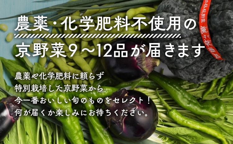 【12回定期便】＜アスカ有機農園＞旬の京野菜セットL（平飼い卵付）＊毎月お届け全12回《野菜定期便 野菜詰め合わせ 野菜セット 京野菜 旬の野菜 新鮮野菜 有機野菜 無農薬野菜 卵》