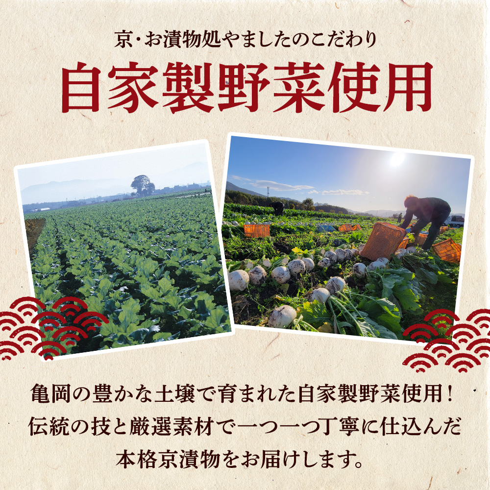 【3回定期便】＜京・お漬物処やました＞ 季節の 京漬物 小袋 詰合せ 【春 夏 冬 年3回 計27品】《京野菜 漬物》 ※北海道・沖縄・離島への配送不可