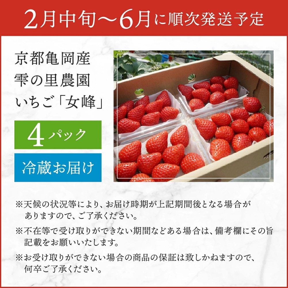 【来シーズン先行予約】京都亀岡産 雫の里農園 いちご【女峰】4パック ※化学肥料・農薬極力不使用≪苺 イチゴ フルーツ≫ ※2027年2月～発送