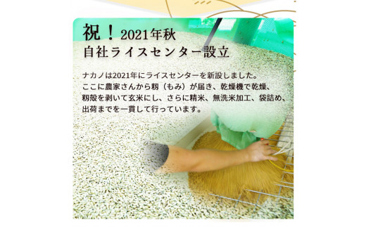 定期便 無洗米 5kg 6ヶ月 京都丹波産 キヌヒカリ 6回定期便 5kg ×6回 計30kg ※受注精米《米 白米 きぬひかり 5kg 6回 計30キロ ふるさと納税 無洗米 大嘗祭供納品種》 ※北海道・沖縄・その他離島への配送不可