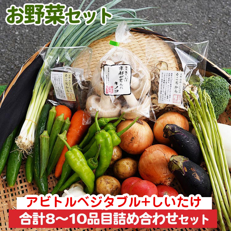 お野菜セット アビトルベジタブル+しいたけ 合計8～10品目詰め合わせセット 季節の野菜 旬の野菜 やさい 新鮮 産地直送 きのこ キノコ 産直 国産 京都 京都産 ※北海道・沖縄・離島への配送不可