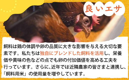 【6回定期便】新鮮 卵 120個（100個+卵割れ保証20個）(10個×12パック)京都丹波『霧の卵』三和鶏園 ≪たまご タマゴ 玉子 生卵 鶏卵 小分け 贈答 ギフト ふるさと納税 卵 直送 冷蔵 朝食 料理 人気≫ ※北海道・沖縄・離島への配送不可