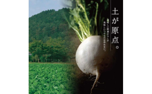 《京つけものもり》漬物 業務用 千枚漬 1kg（500g×2袋） ※2024年11月上旬～2025年2月中旬頃に順次発送予定