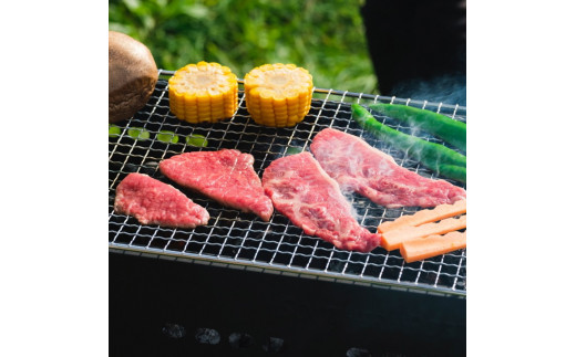 「京都いづつ屋厳選」 亀岡牛 味付 焼肉用 900g（450g×2パック） ≪和牛 牛肉 冷凍 焼肉≫ ふるさと納税牛肉※着日指定不可