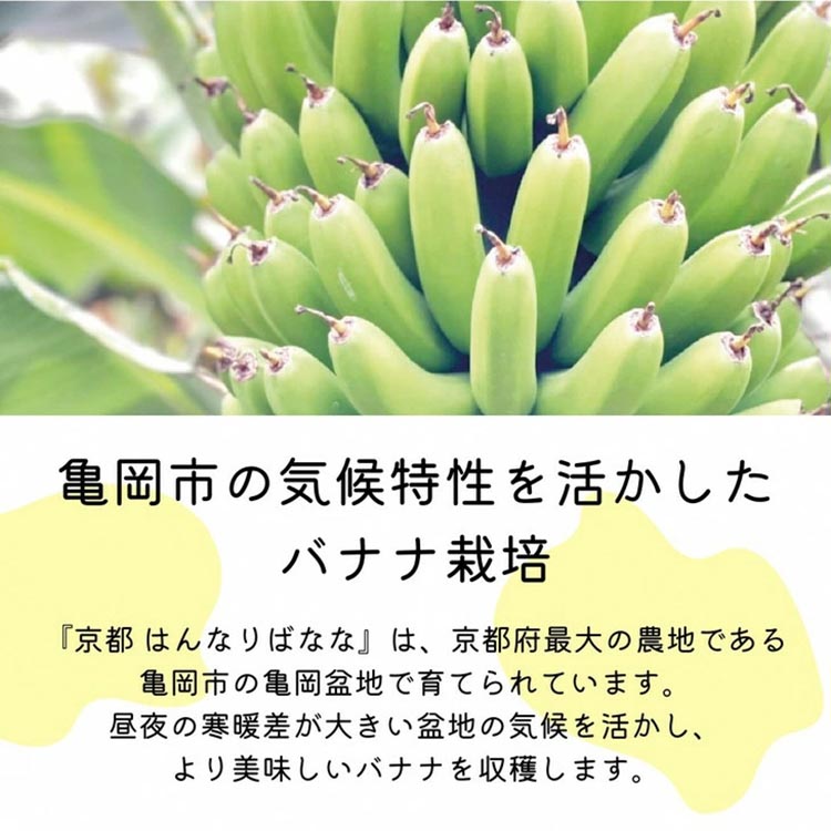 『京都はんなりばなな』ジェラートBOX(3種6個入り) 健康 栄養 スイーツ お取り寄せ ギフト 贈り物 人気 アイスクリーム 冷凍 国産 希少 皮まで食べられる バナナ《栽培期間中農薬不使用》