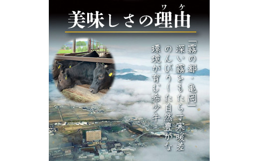 希少 京都産ブランド黒毛和牛 亀岡牛 リブロース ステーキ 600g (200g×3枚) ≪牛肉 国産 京都丹波 和牛 冷凍 送料無料 ふるさと納税 牛肉≫