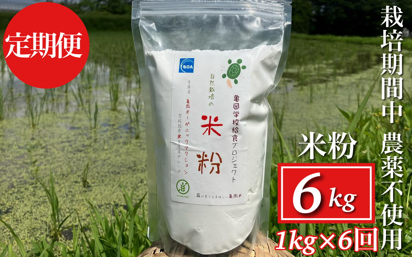 【6回定期便】京都府・亀岡産 栽培期間中農薬不使用 亀岡学校給食プロジェクト 自然栽培米の米粉 1kg×6回定期便 ※離島への発送不可