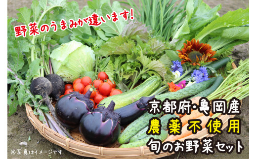 【12回定期便】京都府・亀岡産 自然農法＆農薬を使わずに育てた体も心も喜ぶ、かたもとオーガニックファームの季節のお野菜セット 毎回10〜20品目　※離島への発送不可