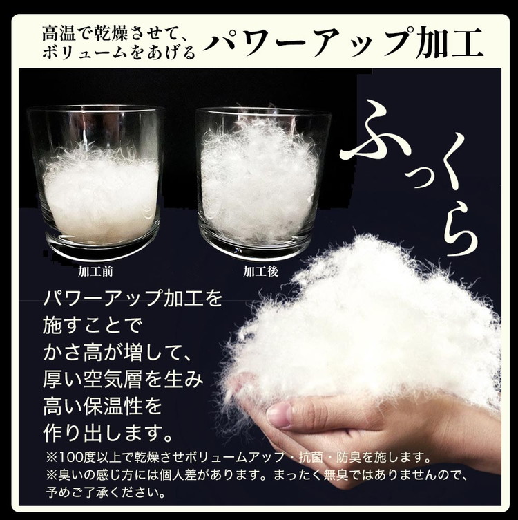 ＜京都金桝＞羽毛布団 シングル ホワイトコウダ ポーランド産マザーホワイトグースダウン95％ 1.2kg 日本製 冬用 布団 新生活 DP450 京都亀岡産 セーヌ 新生活◇