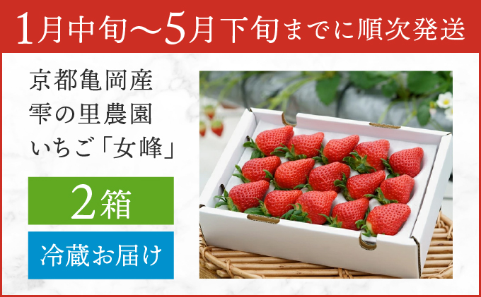 æ°ééå® å¹»ã®äº¬éœäºå²¡ç£ é«çŽãã¡ãã女峰ã2ç®±å â»ååŠè¥æã»èŸ²è¬æ¥µåäžäœ¿çšãã€ããŽ èº ãã¡ã ãã«ãŒã 蟲家çŽéã â»2026幎1æäžæ¬ã5æäžæ¬é ã«é 次çºéäºå®