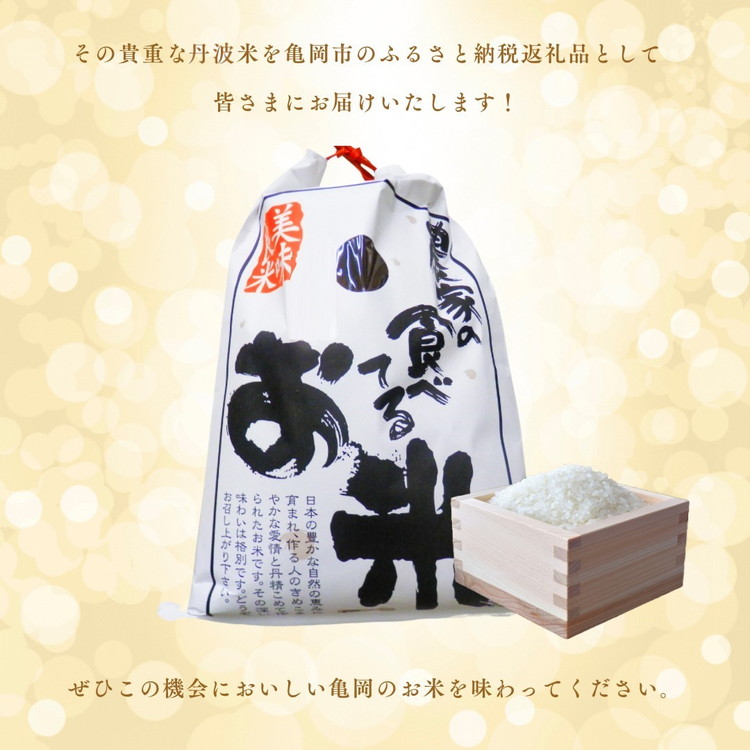 令和6年産 キヌヒカリ 5kg 【京都丹波米おいしいお米コンテスト】入賞（最優秀賞） ｜ 米 コメ 白米 京都 丹波 きぬひかり 数量限定