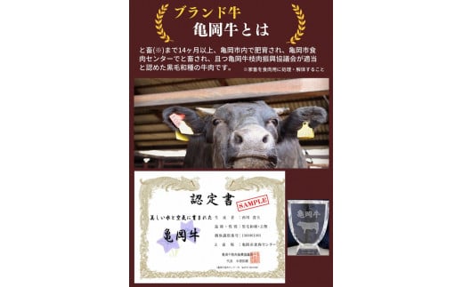 【6回定期便】亀岡牛 6ヶ月 お楽しみセット【計2.8kg】＜亀岡牛専門 木曽精肉店＞≪コロナ支援 和牛 牛肉≫ ☆祝！亀岡牛 2021年最優秀賞（農林水産大臣賞）受賞 ※冷凍（冷蔵も指定可）