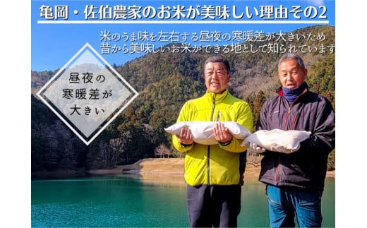 【令和6年産先行予約】米 定期便 10kg×2ヶ月 20kg コシヒカリ 佐伯の里の源流米 希少 農家直送 令和6年産 新米 白米 10キロ 2回 低農薬米 減農薬米 京都丹波産 こしひかり 家計応援 生活応援 ※北海道・沖縄・離島配送不可 ※2024年10月以降発送予定