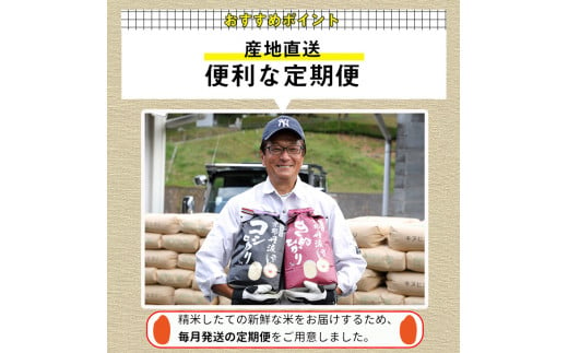 【定期便】令和6年産 新米 訳あり 京都丹波米こしひかり5kg×8回 計40kg◆米 5kg 8ヶ月 白米 8回定期便 ※精米したてをお届け 米・食味鑑定士厳選 コシヒカリ 京都丹波産 ※北海道・沖縄・離島の配送不可 ※2024年10月上旬以降順次発送予定