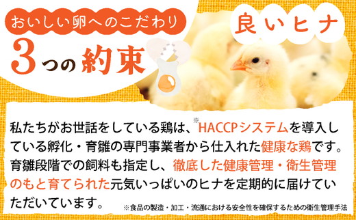 新鮮 卵 京都・丹波 霧の卵 30個（25個+卵割れ保証5個）生卵 たまご 鶏卵 小分け 贈答 ギフト◇ ※北海道・沖縄・離島への配送不可