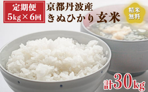 【定期便】令和6年産 新米 先行予約 京都 丹波産 きぬひかり 玄米 5kg×6回 計30kg｜5つ星お米マイスター 厳選 受注精米可 隔月発送も可 ※離島への配送不可※2024年9月下旬以降順次発送予定