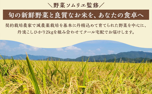 【6回定期便】京都丹波・亀岡発 旬の野菜・こしひかり 詰め合わせセット (隔月6回お届け)● ※北海道・沖縄・離島への配送不可
