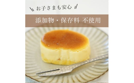 濃厚 半熟 スフレ チーズケーキ 20個 個包装 無添加＜半熟チーズ工房 京都 洋菓子館ベルジェノア＞