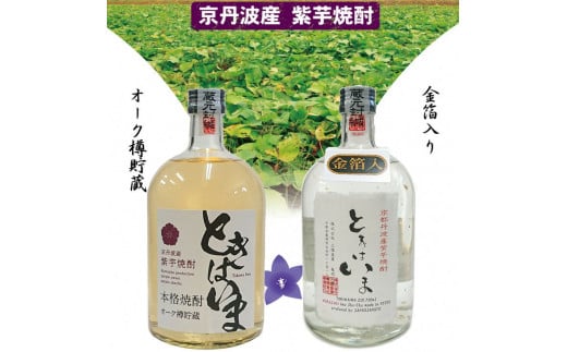 京都で造った紫芋焼酎　『ときはいま　セット』