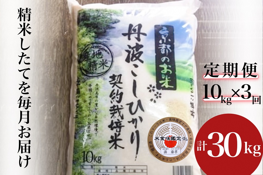 【9月より新米】【定期便】米 京都丹波米 こしひかり10kg×3回 計30kg◇◆◇ 米 3ヶ月 白米 3回定期便 ※精米したてをお届け コシヒカリ ※毎月1回又は2カ月に1回