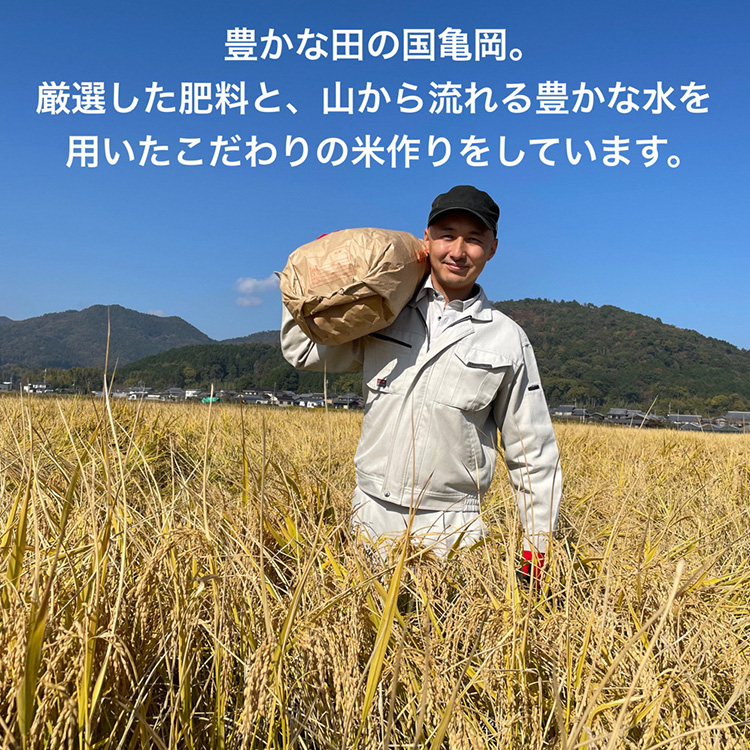 【令和6年産先行予約】米 コシヒカリ 玄米 10kg〈アグリにのうみ〉京都・亀岡産《令和6年産》 京都丹波産◇※北海道・沖縄・離島への配送不可※2024年10月中旬～11月中旬頃に順次発送予定