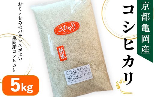 令和7年産 京都亀岡産 コシヒカリ 5kg 精米仕立て 新米 白米 精米 お米 ※2025年11月中旬～12月下旬頃に順次発送予定