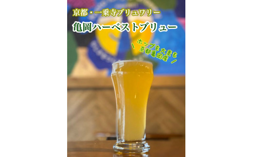 ＜京都・一乗寺ブリュワリー＞【受注生産】クラフトビール 8本セット「亀岡ハーベストブリュー＆一乗寺スタウト」