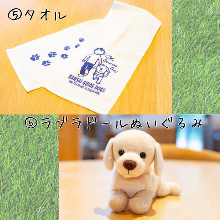 【返礼品相当額で盲導犬の育成を支援】支援額15,000円(記念品あり)エコバッグなど盲導犬協会オリジナルグッズ進呈[行きたい場所に安心していける社会に…]