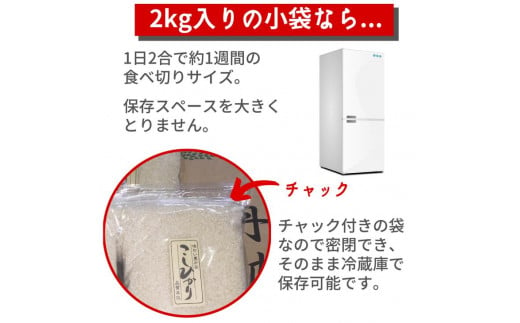 【定期便】令和6年産 新米 京都丹波米こしひかり 6kg(2kg×3袋)× 6回 計36kg◆ 米 6kg 6ヶ月 白米 6回定期便 ※精米したてをお届け 米・食味鑑定士厳選 コシヒカリ 京都丹波産 ※北海道・沖縄・離島への配送不可 ※2024年10月上旬以降順次発送予定