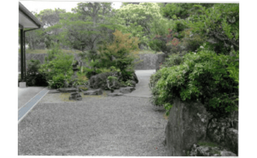 親孝行代行サービス　宅地の庭先の除草作業等