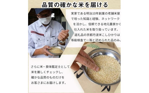 【定期便】令和6年産 新米 訳あり 京都丹波米 きぬひかり5kg×4回 計20kg◆4回定期便 米 白米 5kg 4ヶ月※精米したてをお届け 米・食味鑑定士厳選 キヌヒカリ 京都丹波産 ※北海道・沖縄・離島への配送不可 ※2024年10月上旬以降順次発送予定