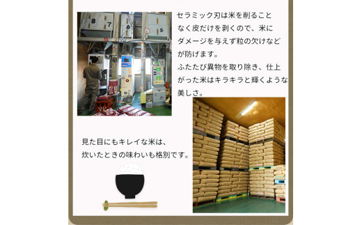 【定期便】令和6年産 新米 訳あり 京都丹波米こしひかり10kg×3回 計30kg◆ 米 3ヶ月 白米 3回定期便 ※精米したてをお届け コシヒカリ ※毎月1回又は2カ月に1回 ※北海道・沖縄・離島への配送不可 ※2024年10月上旬以降順次発送予定