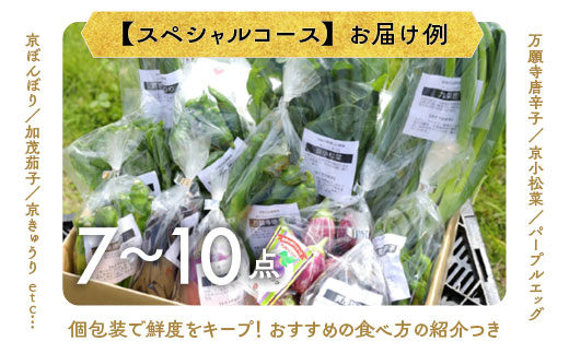 【12回定期便】旬の京野菜 毎月お届けスペシャルコース（全12回）＆『葉酸たまご』10個入り×1パック×3回分付き《野菜定期便 野菜詰め合わせ 野菜セット 京野菜 旬の野菜 新鮮野菜 卵》