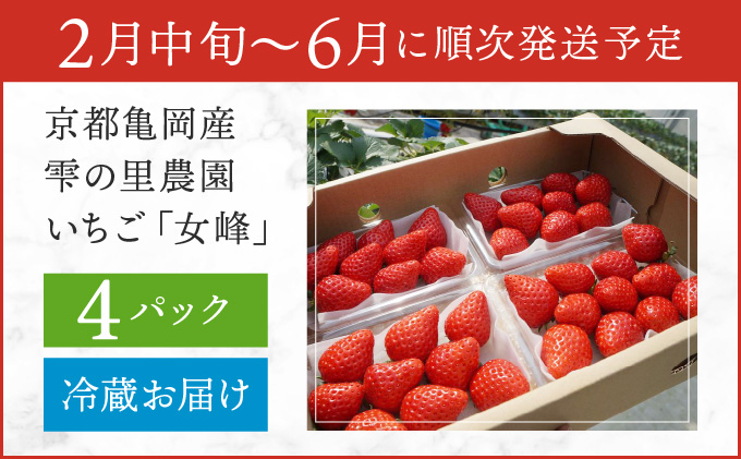 京都亀岡産 雫の里農園 いちご【女峰】4パック ※化学肥料・農薬極力不使用≪苺 イチゴ フルーツ≫ ※6月まで順次発送