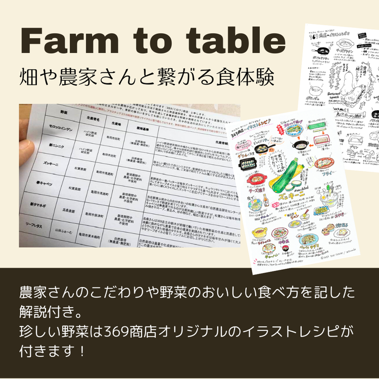 【8回定期便】＜３６９商店＞京都丹波産旬の野菜セット　※全て栽培期間中農薬・化学肥料不使用 ※北海道・沖縄・離島への配送不可