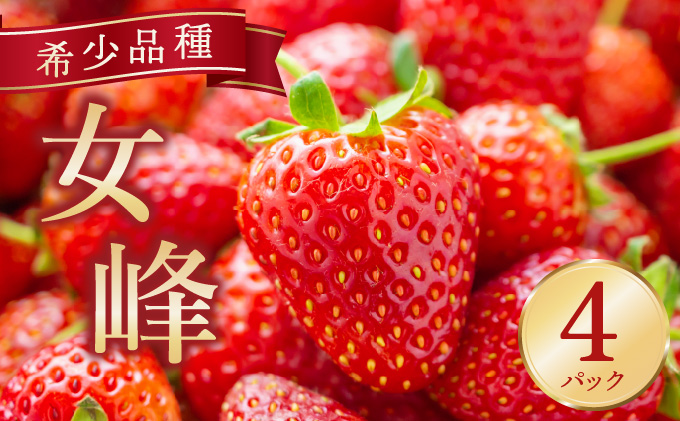 京都亀岡産 雫の里農園 いちご【女峰】4パック ※化学肥料・農薬極力不使用≪苺 イチゴ フルーツ≫ ※6月まで順次発送