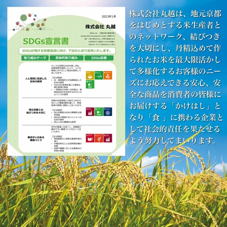 【7日以内発送】京都丹波産 きぬひかり 5kg ※米食味鑑定士厳選 ※精米したてをお届け【京都伏見のお米問屋が精米】新米 米 令和6年産 ※北海道・沖縄・離島への配送不可