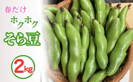 ＜先行予約＞春だけ ホクホクそら豆！2kg 京都 亀岡産 野菜 豆類 旬 おつまみ 取り寄せ 人気 ※北海道・沖縄・離島への配送不可 ※2026年5月中旬～6月中旬頃に順次発送