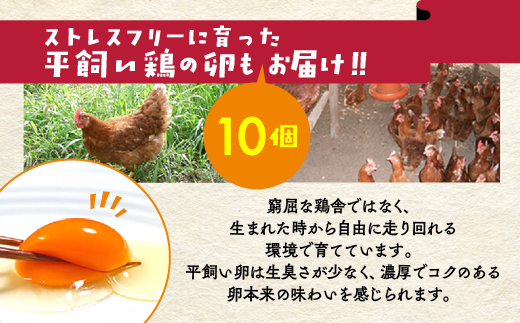 【12回定期便】＜アスカ有機農園＞旬の京野菜セットL（平飼い卵付）＊毎月お届け全12回《野菜定期便 野菜詰め合わせ 野菜セット 京野菜 旬の野菜 新鮮野菜 有機野菜 無農薬野菜 卵》