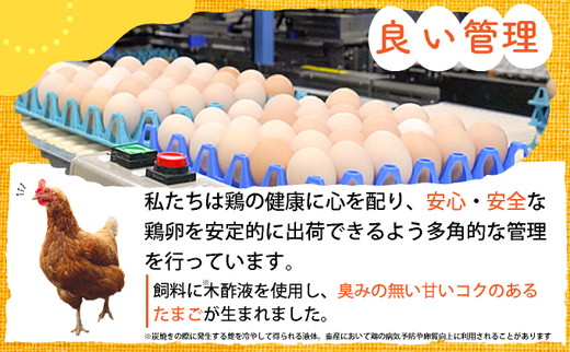 【12回定期便】新鮮 卵 120個（100個+卵割れ保証20個）(10個×12パック)京都丹波『霧の卵』三和鶏園 ≪たまご タマゴ 玉子 生卵 鶏卵 小分け 贈答 ギフト ふるさと納税 卵 直送 冷蔵 朝食 料理 人気≫ ※北海道・沖縄・離島への配送不可