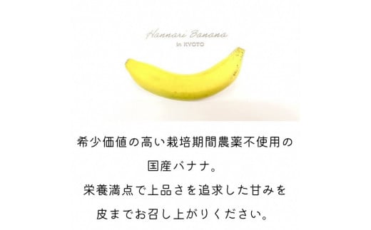 国産バナナ 5本セット 皮まで食べられる 『京都はんなりばなな』《栽培期間中農薬不使用 京都初 亀岡産 希少》※離島への配送不可