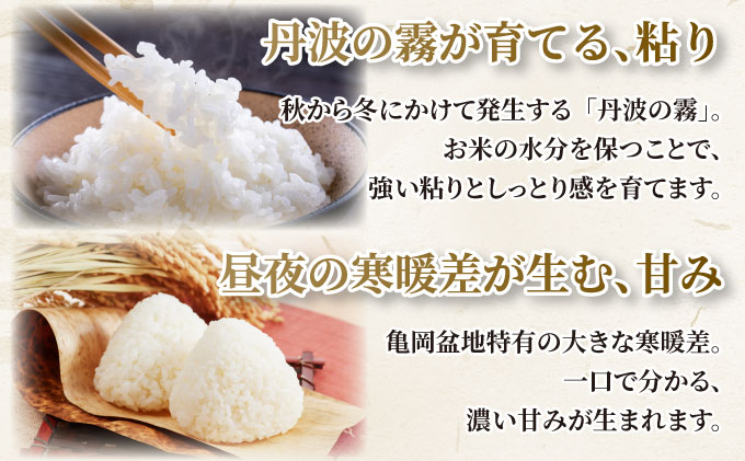 【定期3回】令和7年産 コシヒカリ 10kg×3回 京都丹波産 農家直送 産地直送 スピード配送【～3月31日まで】※北海道･沖縄･離島への配送不可
