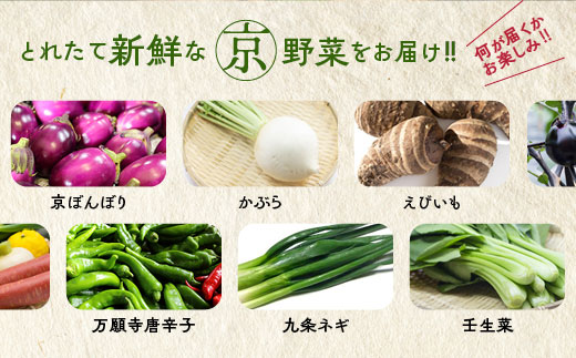 【12回定期便】旬の京野菜 毎月お届けスペシャルコース（全12回）＆『葉酸たまご』10個入り×1パック×3回分付き《野菜定期便 野菜詰め合わせ 野菜セット 京野菜 旬の野菜 新鮮野菜 卵》