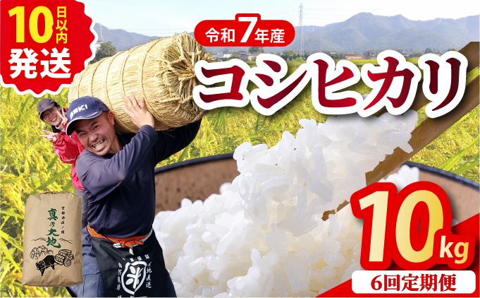 【定期6回】令和7年産コシヒカリ 10kg×6回 京都丹波産 農家直送 産地直送 スピード配送【～3月31日まで】※北海道･沖縄･離島への配送不可